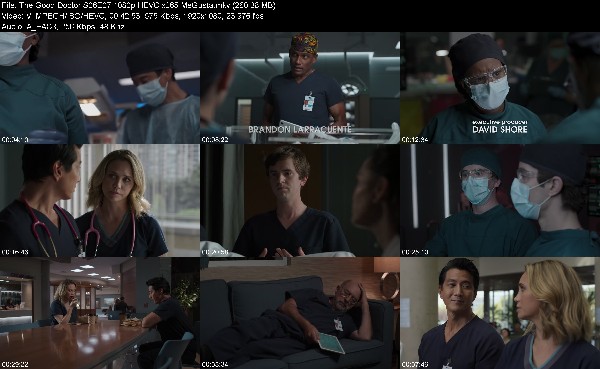 321140840_the-good-doctor-s06e07-1080p-hevc-x265-megusta.jpg