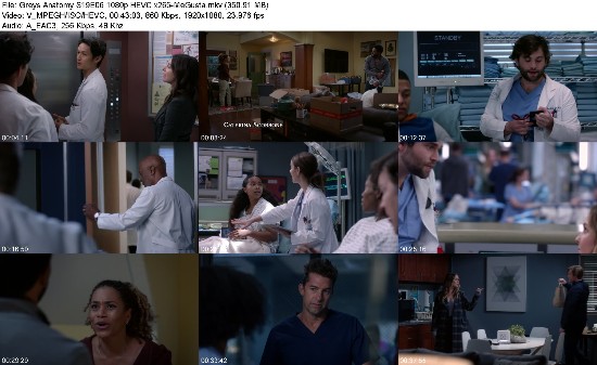 318241455_greys-anatomy-s19e06-1080p-hevc-x265-megusta.jpg