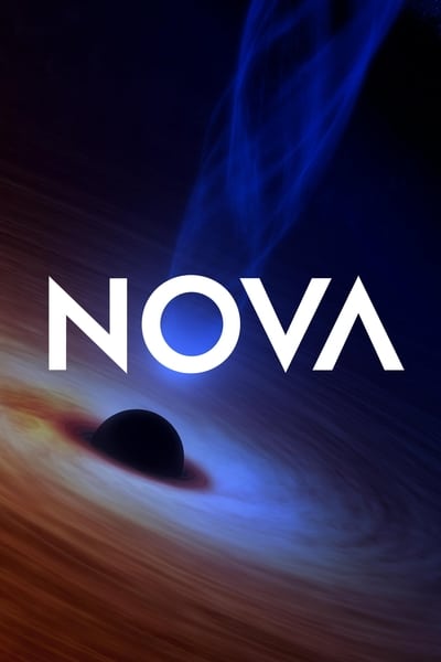 319307073_nova-s49e18-zero-to-infinity-1080p-hevc-x265-megusta.jpg