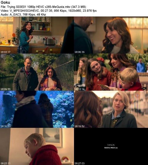 295735311_trying-s03e01-1080p-hevc-x265-megusta.jpg