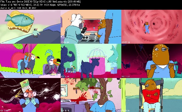 302958539_tuca-and-bertie-s03e10-720p-hevc-x265-megusta.jpg