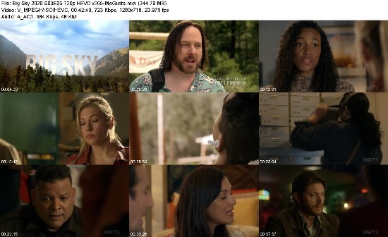 313555836_big-sky-2020-s03e05-720p-hevc-x265-megusta.jpg