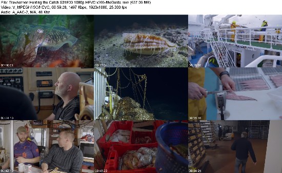 313301832_trawlermen-hunting-the-catch-s01e03-1080p-hevc-x265-megusta.jpg