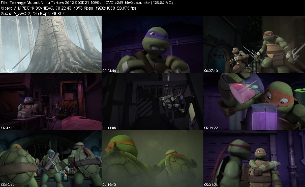 328593812_teenage-mutant-ninja-turtles-2012-s03e21-1080p-hevc-x265-megusta.jpg