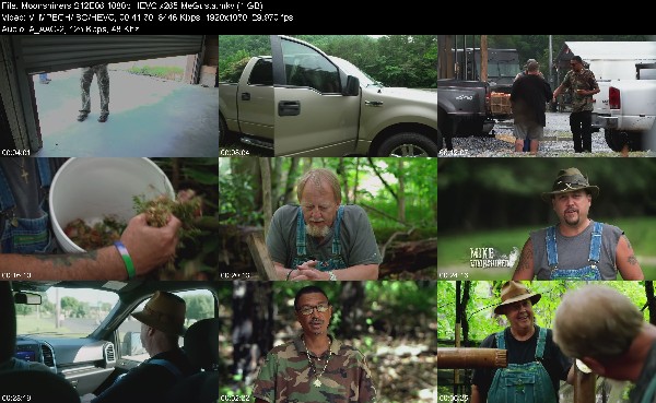 324278487_moonshiners-s12e06-1080p-hevc-x265-megusta.jpg