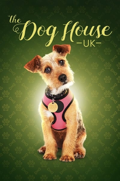 289822982_the-dog-house-s03e02-720p-hevc-x265-megusta.jpg