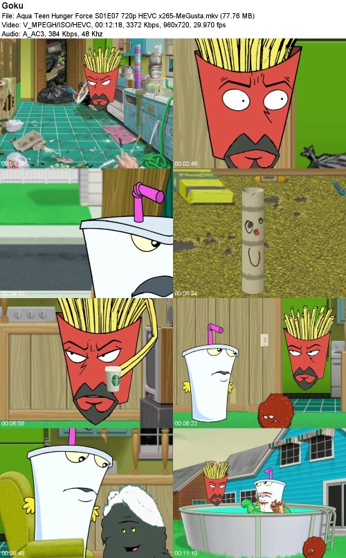 296959755_aqua-teen-hunger-force-s01e07-720p-hevc-x265-megusta.jpg