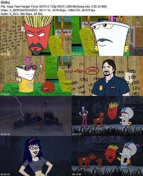 297007656_aqua-teen-hunger-force-s07e12-720p-hevc-x265-megusta.jpg