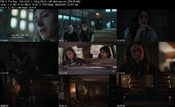 304805001_in-the-dark-2019-s04e13-1080p-hevc-x265-megusta.jpg