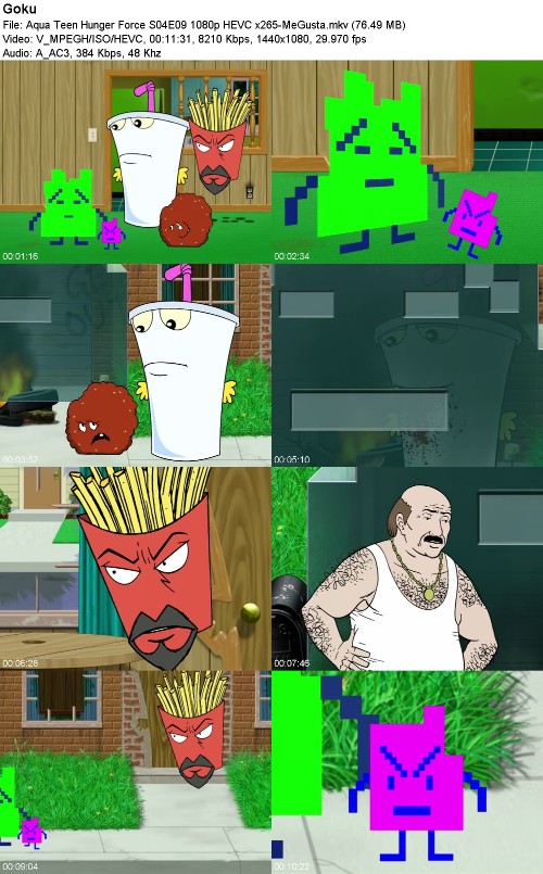 297020498_aqua-teen-hunger-force-s04e09-1080p-hevc-x265-megusta.jpg