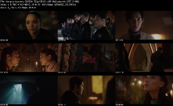 305950947_vampire-academy-s01e04-720p-hevc-x265-megusta.jpg