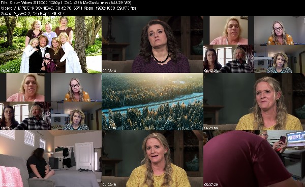 308239692_sister-wives-s17e03-1080p-hevc-x265-megusta.jpg