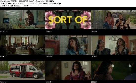 319001919_sort-of-s02e01-1080p-hevc-x265-megusta.jpg