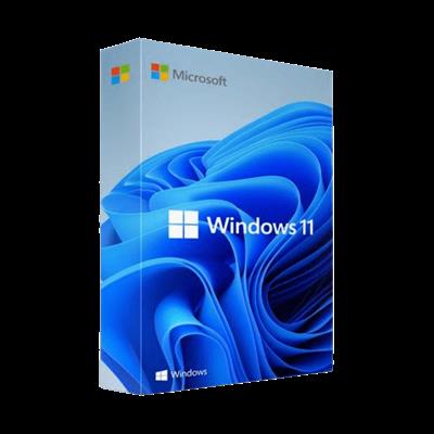 Windows 11 Professional 64-bit Pre-activated (Non-TPM)
