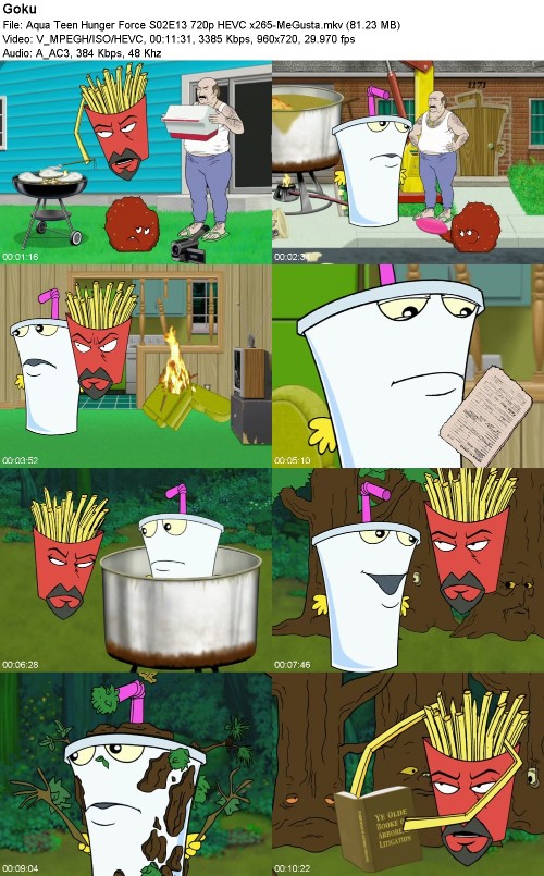 296967486_aqua-teen-hunger-force-s02e13-720p-hevc-x265-megusta.jpg