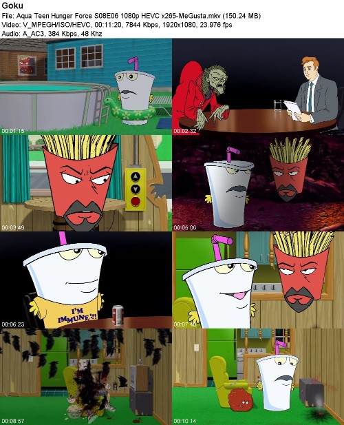 297041020_aqua-teen-hunger-force-s08e06-1080p-hevc-x265-megusta.jpg