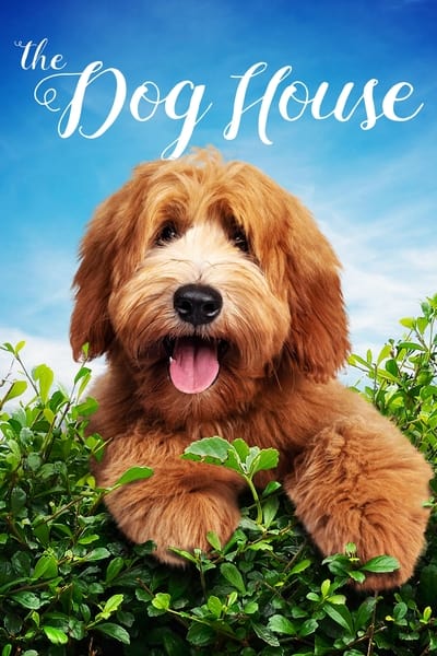 290112700_the-dog-house-s02e01-1080p-hevc-x265-megusta.jpg