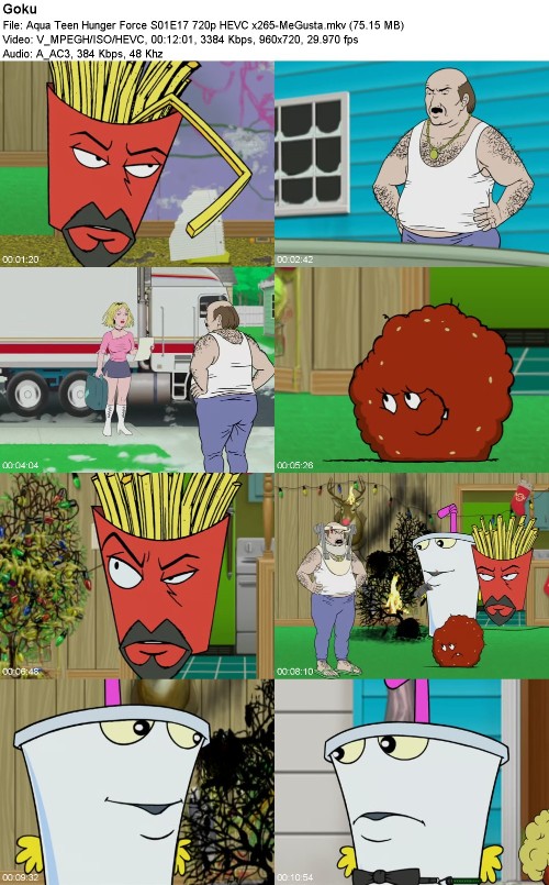 296964584_aqua-teen-hunger-force-s01e17-720p-hevc-x265-megusta.jpg