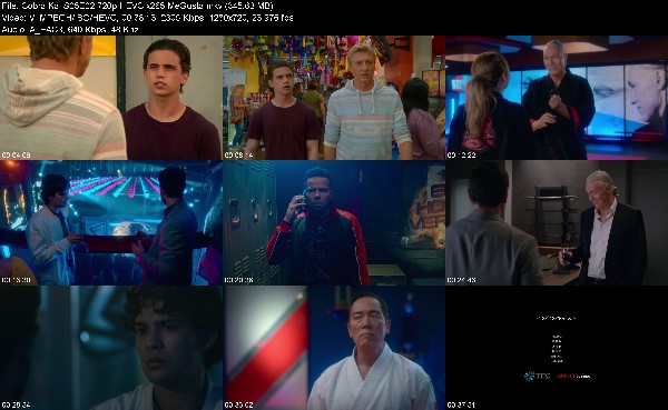 304733505_cobra-kai-s05e02-720p-hevc-x265-megusta.jpg