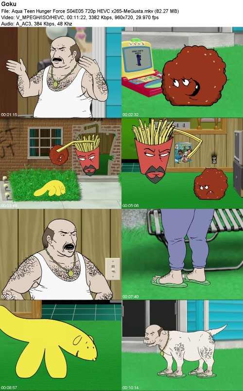 296986027_aqua-teen-hunger-force-s04e05-720p-hevc-x265-megusta.jpg