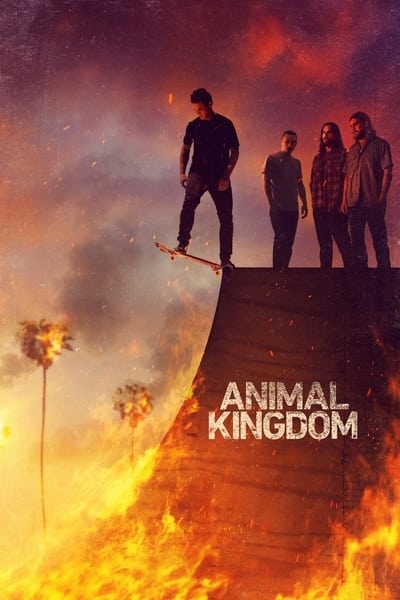 319824377_animal-kingdom-us-s06e11-internal-1080p-hevc-x265-megusta.jpg