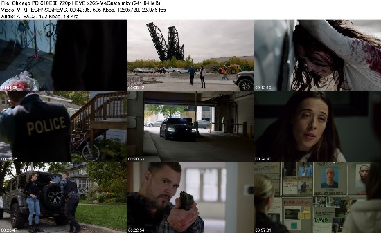 319284873_chicago-pd-s10e08-720p-hevc-x265-megusta.jpg