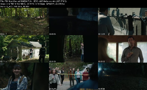 311735969_fbi-most-wanted-s04e04-720p-hevc-x265-megusta.jpg