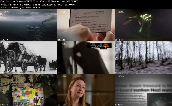 320064107_drain-the-oceans-s05e02-720p-hevc-x265-megusta.jpg
