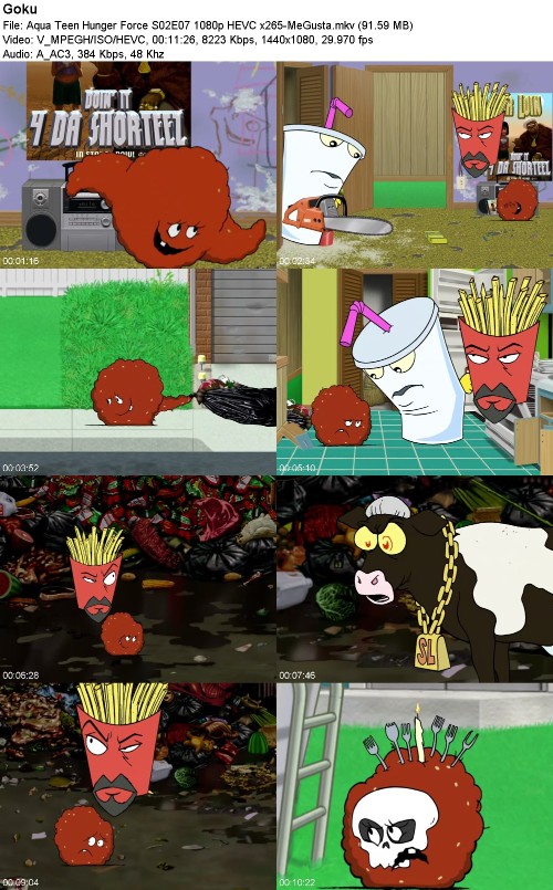 297002765_aqua-teen-hunger-force-s02e07-1080p-hevc-x265-megusta.jpg