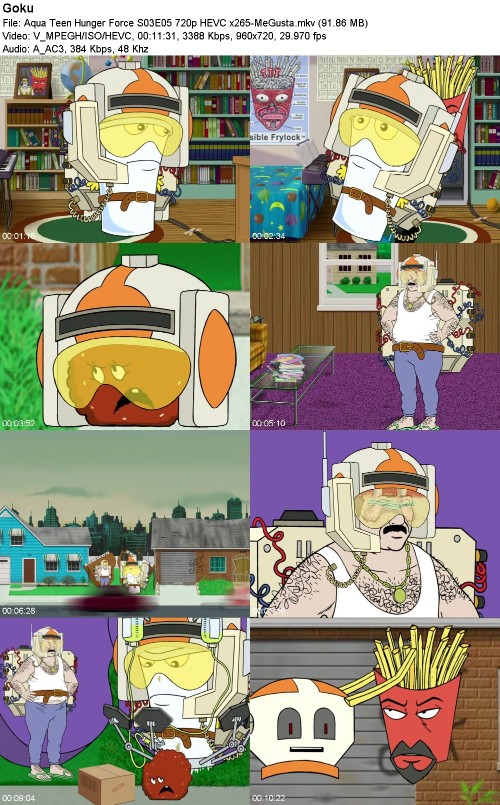 296973356_aqua-teen-hunger-force-s03e05-720p-hevc-x265-megusta.jpg