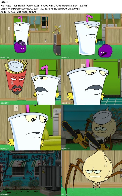 296972486_aqua-teen-hunger-force-s02e15-720p-hevc-x265-megusta.jpg