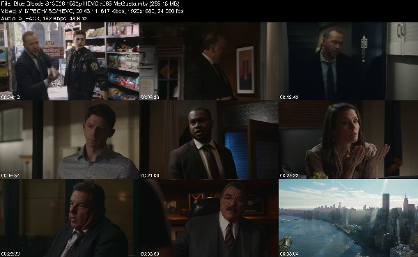 319744519_blue-bloods-s13e06-1080p-hevc-x265-megusta.jpg