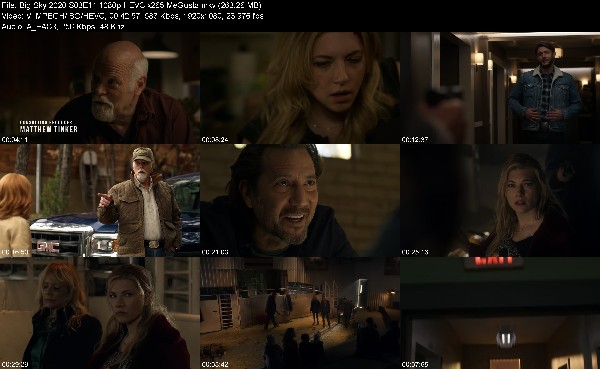 328417780_big-sky-2020-s03e11-1080p-hevc-x265-megusta.jpg