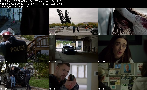 319285448_chicago-pd-s10e08-720p-hevc-x265-megusta.jpg