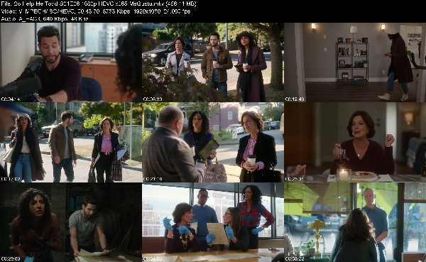 316868289_so-help-me-todd-s01e06-1080p-hevc-x265-megusta.jpg