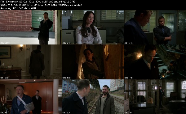 310824461_elementary-s03e24-720p-hevc-x265-megusta.jpg