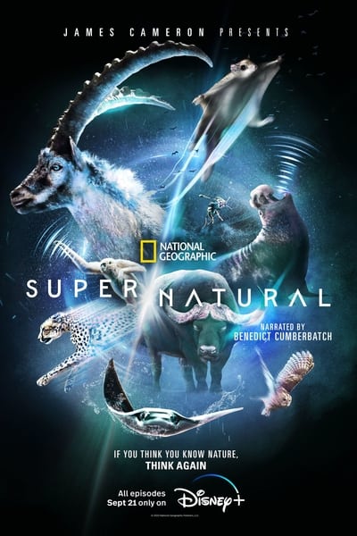 307307851_super-natural-s01e03-1080p-hevc-x265-megusta.jpg
