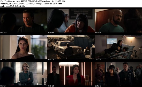 323869715_the-cleaning-lady-s02e12-720p-hevc-x265-megusta.jpg