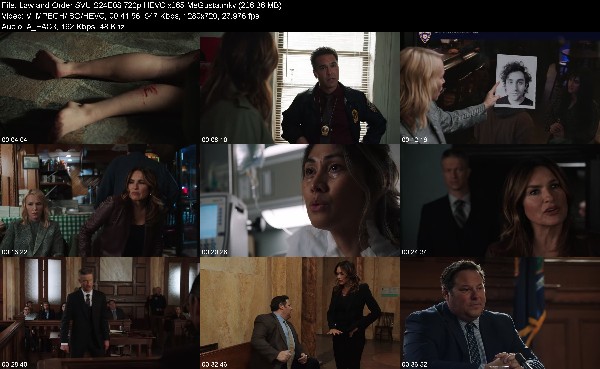 319445774_law-and-order-svu-s24e08-720p-hevc-x265-megusta.jpg