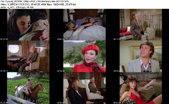 313948336_dynasty-s02e06-1080p-hevc-x265-megusta.jpg