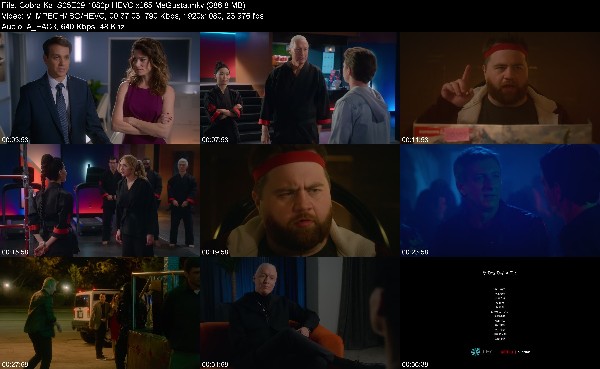 304733231_cobra-kai-s05e09-1080p-hevc-x265-megusta.jpg