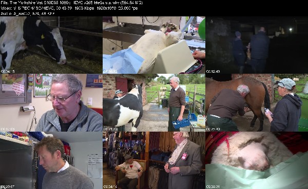 321307619_the-yorkshire-vet-s10e05-1080p-hevc-x265-megusta.jpg