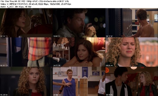 319196082_one-tree-hill-s01e03-1080p-hevc-x265-megusta.jpg