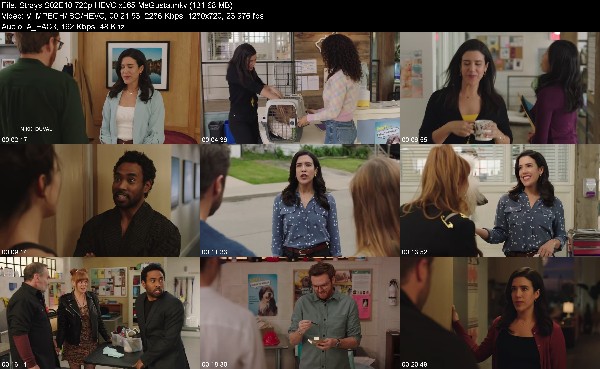 319235472_strays-s02e10-720p-hevc-x265-megusta.jpg
