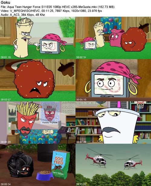 297053492_aqua-teen-hunger-force-s11e05-1080p-hevc-x265-megusta.jpg