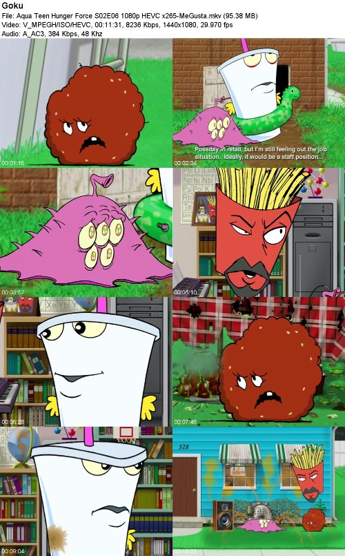 297003137_aqua-teen-hunger-force-s02e06-1080p-hevc-x265-megusta.jpg