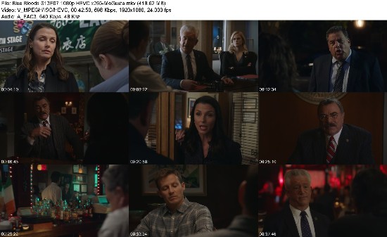 322042066_blue-bloods-s13e07-1080p-hevc-x265-megusta.jpg