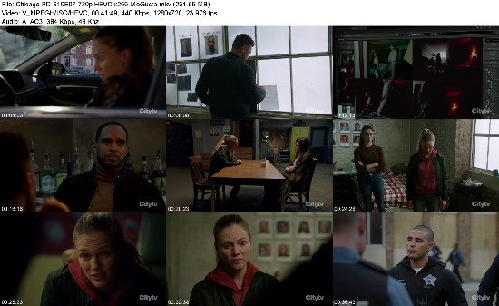 317927168_chicago-pd-s10e07-720p-hevc-x265-megusta.jpg