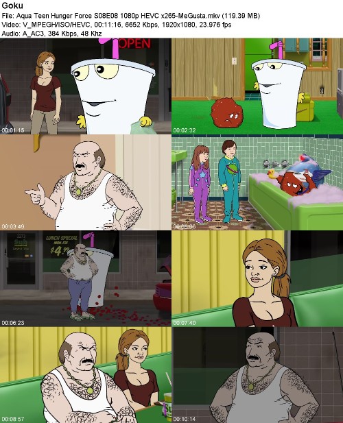 297041075_aqua-teen-hunger-force-s08e08-1080p-hevc-x265-megusta.jpg