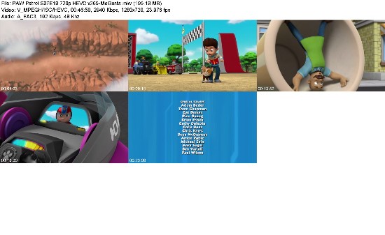 323429103_paw-patrol-s07e18-720p-hevc-x265-megusta.jpg